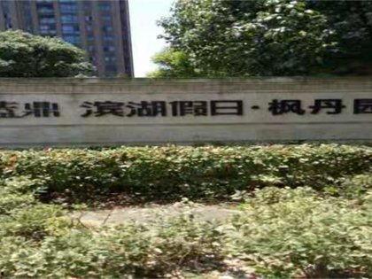 枫丹科学园爆料了吗最新消息,神秘项目引发热议