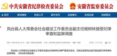 大皖新闻爆料最新消息,重大事件引发社会关注