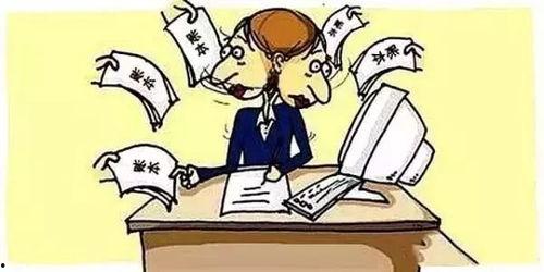 种地吧最新会计小刘爆料,揭秘农业会计那些事儿