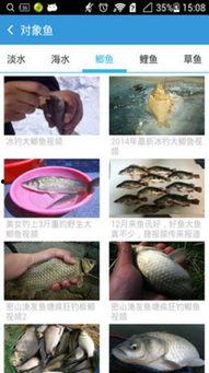 钓鱼爆料视频最新版下载,揭秘钓鱼技巧与安全防范攻略