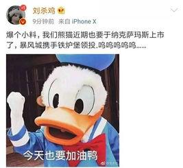 杀鸡最新爆料,揭秘幕后真相，带你走进神秘事件核心