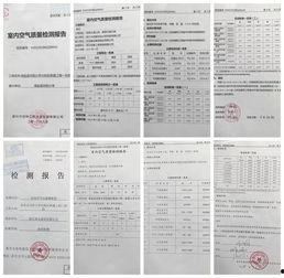 向阳小学爆料最新消息,揭秘校园热点事件背后的真相